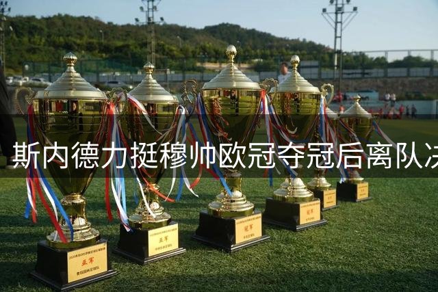 斯内德力挺穆帅欧冠夺冠后离队决定